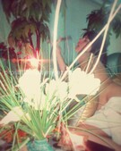 Анкета проститутки Ульяна - метро Текстильщики, возраст - 25